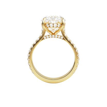 14k Yellow Gold — Buckingham Ring