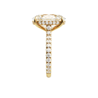 14k Yellow Gold — Buckingham Ring