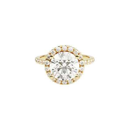 14k Yellow Gold — Jude Ring