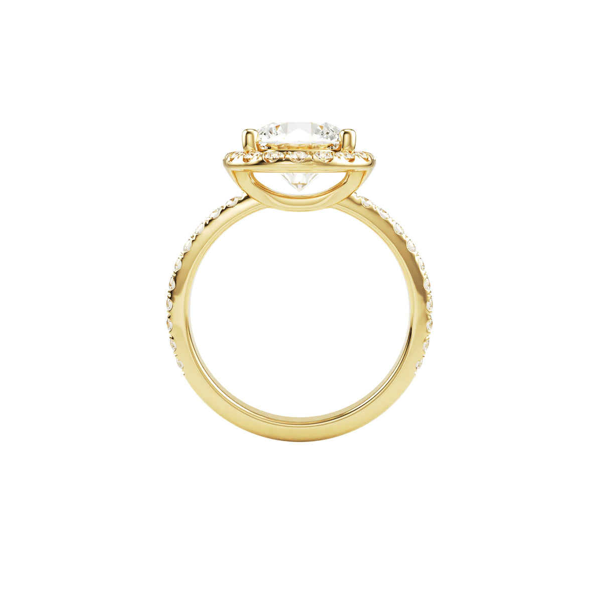 14k Yellow Gold — Jude Ring