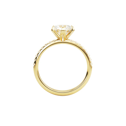 14k Yellow Gold — Regency Ring