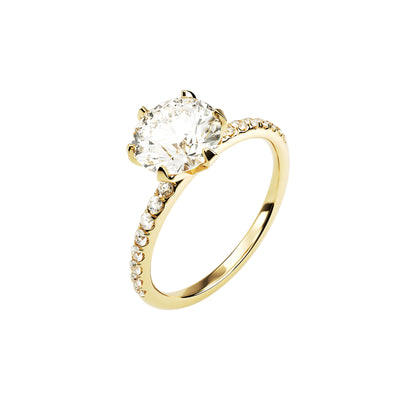14k Yellow Gold — Regency Ring